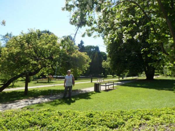 na alejkach parkowych pośród zadbanej zieleni - przy Dworku Chopina.