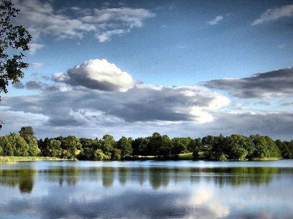 Zdjęcia Lepaki Wielkie