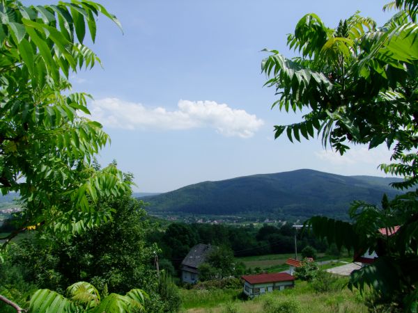 Spojrzenie na wschodnią pierzeję kotliny w Gorzeniu Górnym