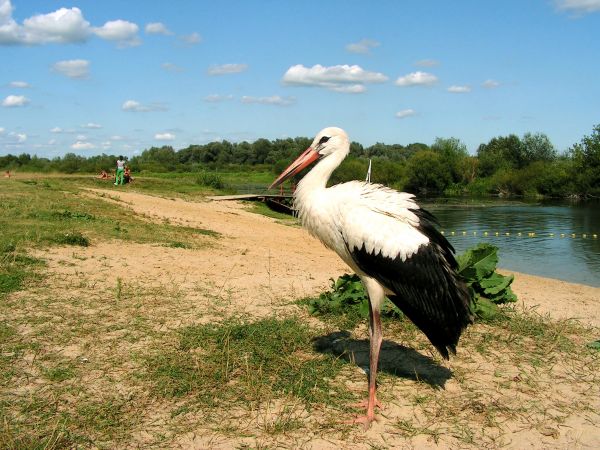 zdjecie Wola Uhruska