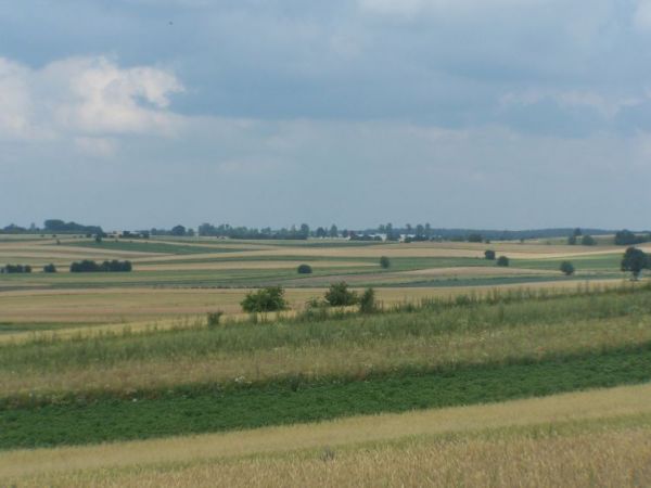 Widokz fortów  na pola wzdłuż drogi do Jedwabnego