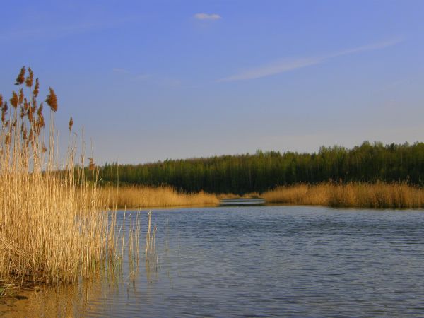 Jesień na Halembskiej hałdzie