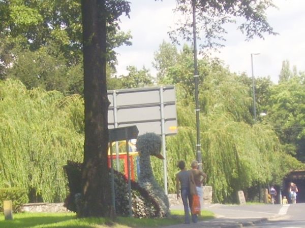 Gliwice-Łabędy,  z okna samochodu (przejazdem)jako ciekawostka do nazwy dzielnicy!