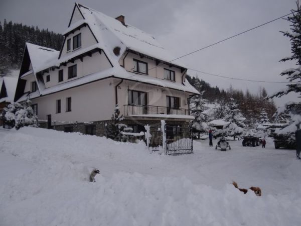 POKOJE POD LASEM Zapraszamy ZIMĄ .do naszego domu który znajduje się 7 km od centrum ZAKOPANE, Zaledwie 300 m od domu znajduje Wyciąg Narciarski,.wypożyczalnia