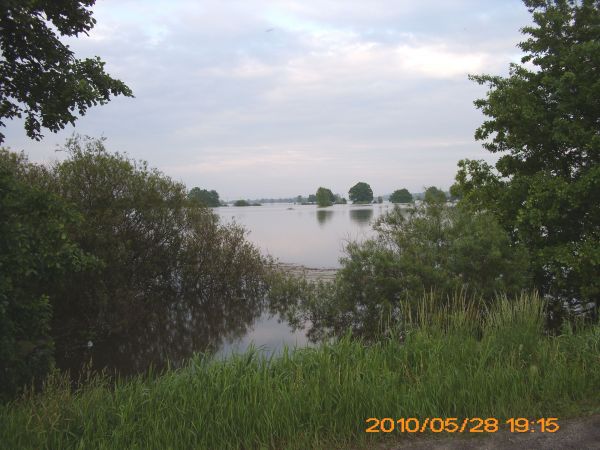 Zalany polder p.pow. pod Połupinem