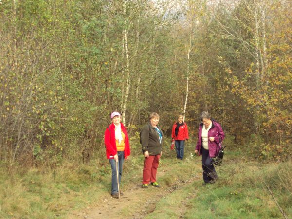 po opuszczeniu wsi leśną drogą na wzgórze Glinice - 393m npm podążamy - smaki, zapachy i kolory jesieni wchłaniając...