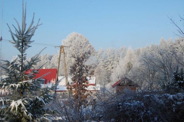 Ostatnie mrozy w lutym 2009 w Krzywonodze.