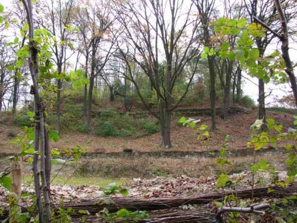 Góra zamkowa Motycz gm. Konopnica