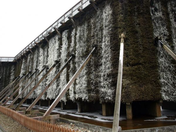 Tężnie w Parku Solankowym - późną jesienią