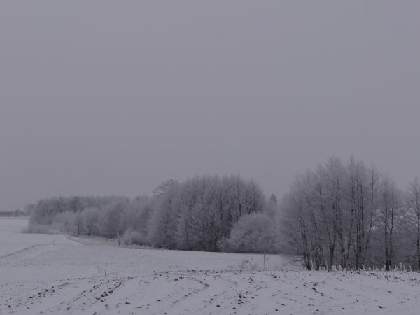 zdjecie Zajączkowice