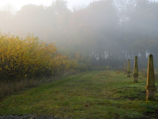 WIDOK NA PARK PODWORSKI OD DOMKU LETNISKOWEGO