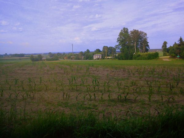 Widoczek na Witoldów ;)