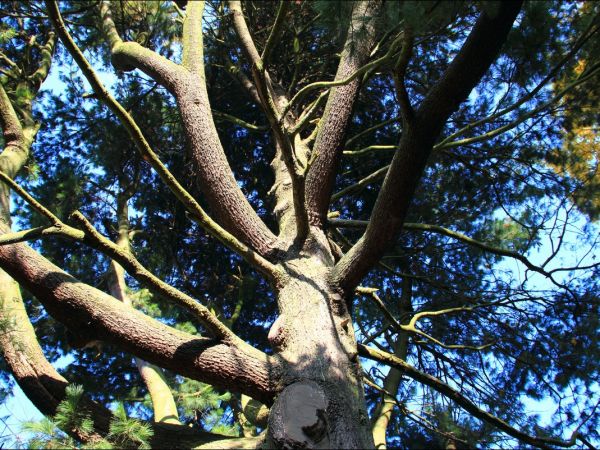 Klasztor i park  ss. Niepokalanek na Głębokiej.