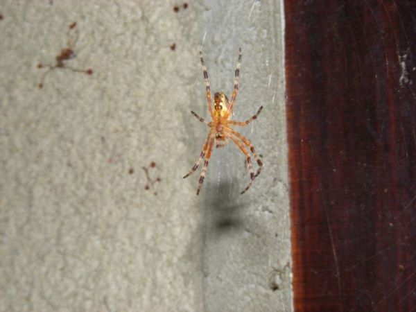 I tacy mieszkańcy Osiecznej też dają się sfotografować.