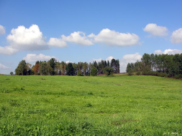 Pejzaż w pobliżu Toprzyn.
