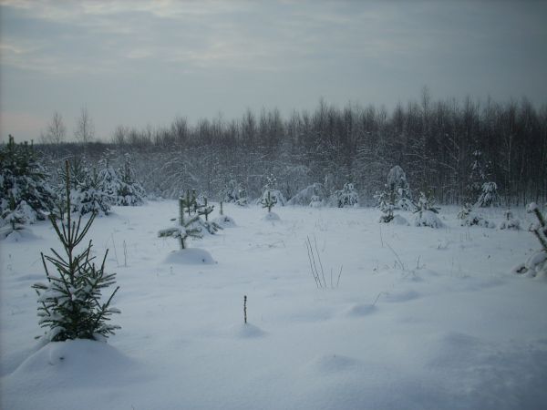 zdjecie Piłatowszczyzna