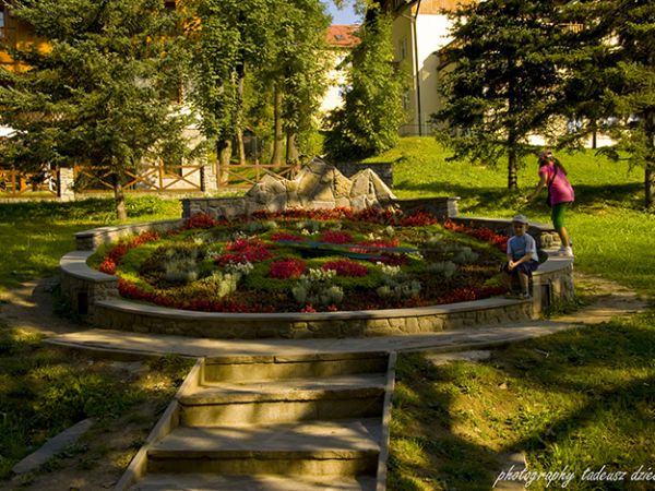 W parku.