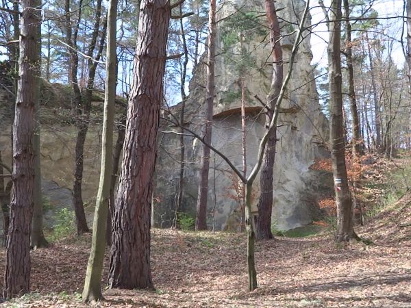 pomnik przyrody : "Kamień Leski" - palba fleszy, no bo pozował i efekt taki...