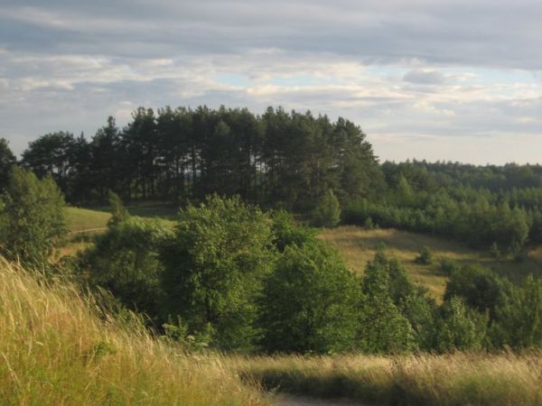 Okolice Konopek Wielkich