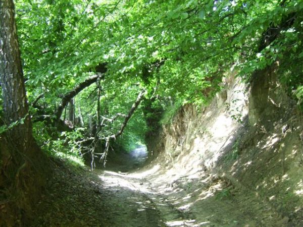 Zdjęcia Werechanie-Kolonia