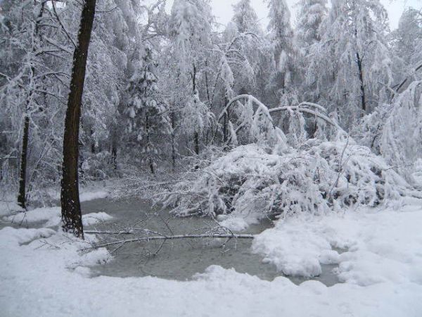 Ośrodek wypoczynkowy , uroki zimy