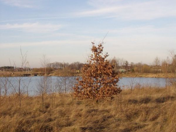 zdjecie Wierzchosławice