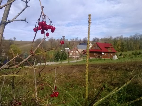 Dziwiszów (niem. Berbisdorf) – wieś w Polsce położona w województwie dolnośląskim