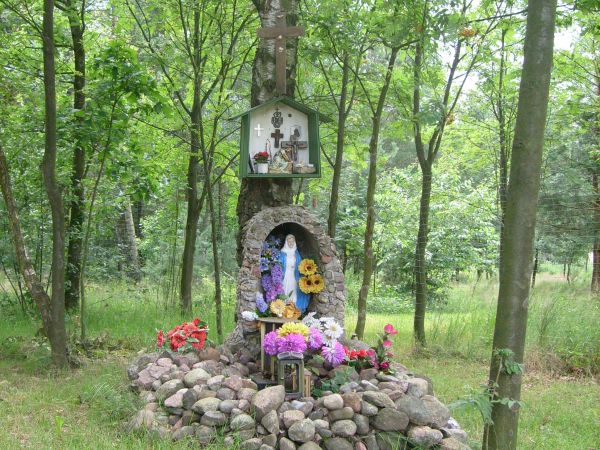 zdjecie Kobyla Góra