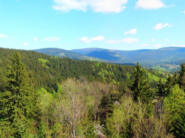 Widok z góry iglicznej