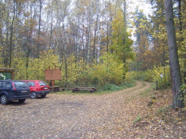 zdjecie Domaszkowice