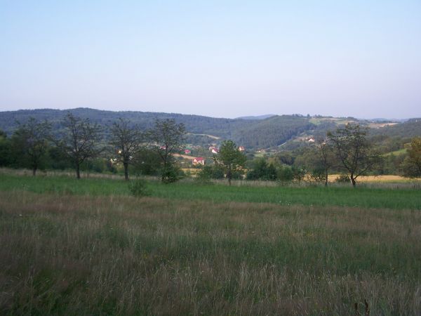 Widok na Rudę Kameralna.