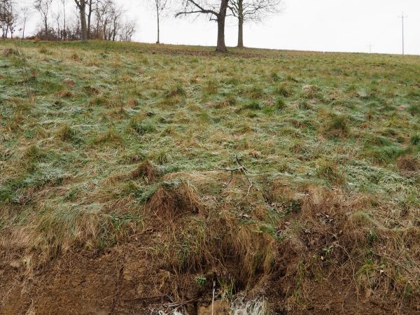 okolica obfituje w źródła wód wysoce zmineralizowanych i solankowych - n/z ujęte rurką wyciekową jedno z bardziej wydajnych źródeł. Niegdyś w tym celu korzystan