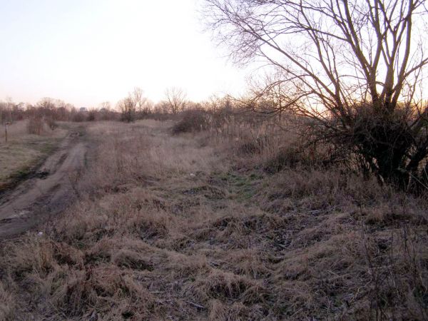Pozostałości po torowisku  na trasie Głogów - Szlichtyngowa