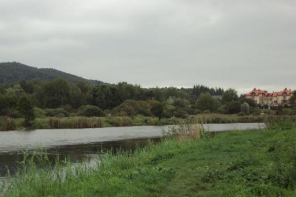 dalej po prawej to "Osiedle nad Stawami" a tu bliżej n/z to właśnie owe stawy - ryb pełne "ponoć wszelkiej maści" - oprócz chyba tych słonowodnych, tam też ptac