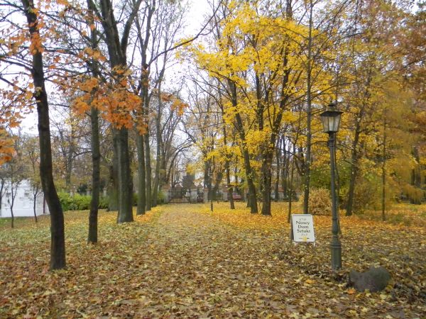 Zespół pałacowo - parkowy, 03 11 2011