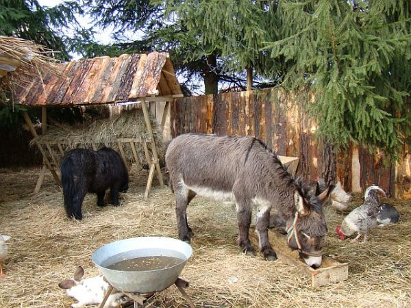 Szopka Bozonarodzeniowa