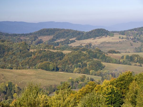 Widok w kierunku Działu