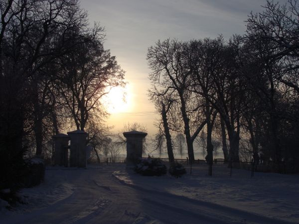 Pozostałości Pałacu