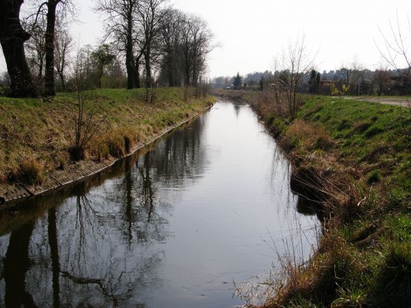 Historyczna rzeka Gąsawka nad którą leży Szubin.