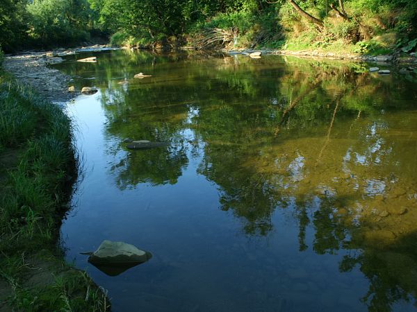 Nowosiółki - Hoczewka