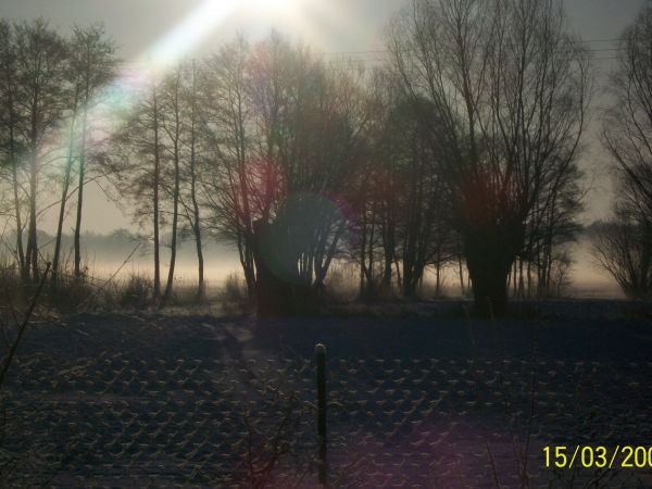 zdjecie Dziektarzewo