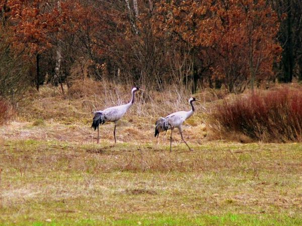 Na taki widok trzeba zaczekac do wiosny,