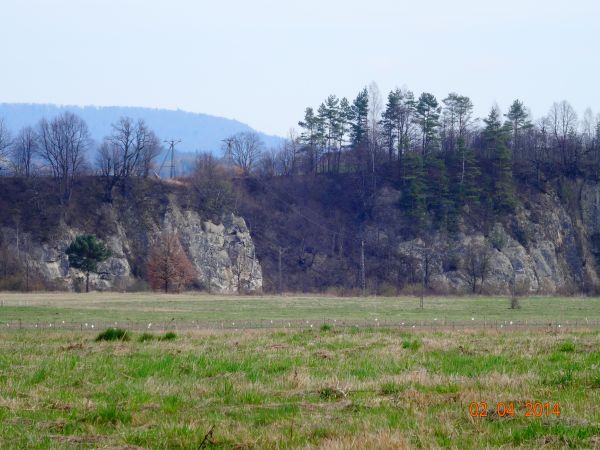 pomnik przyrody "Skałki Myczkowieckie nad Sanem", w szczelinach skalnych gnieżdżą się liczne gatunki ptaków i niemal przez cały rok wspaniale koncertują. Wspomn