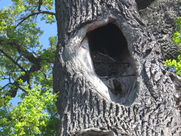 zdjecie Kliczków Mały