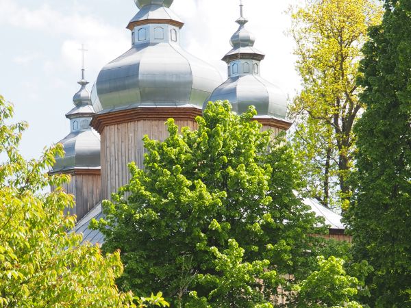na wzgórzu, otoczona wieńcem starych drzew - cerkiew parafialna pw. św. Mikołaja - po wojnie kościół.