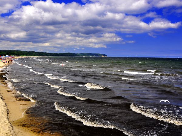 zdjecie Sopot