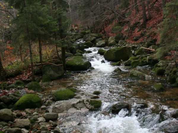 Park Karkonoski -okolice Michałowic i Jagniątkowa