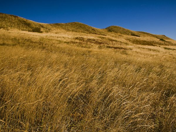 Ustrzyki Górne-na połoninie