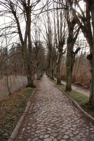 Połczyn Zdrój, marzec 2014