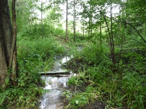 zdjecie Piłatowszczyzna